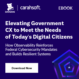 Elevating Government CX Graphic